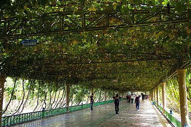 《无人深空》主创再次暗示新更新内容 或是战斗升级